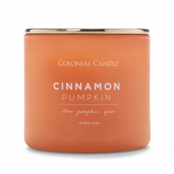 Cinnamon Pumpkin - Pop of Color 14.5oz Jar
