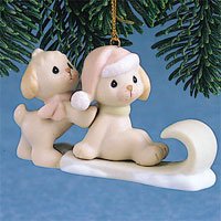 Puppies On Sled